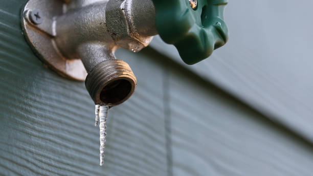 Best Gas Line Repair  in Newton, TX